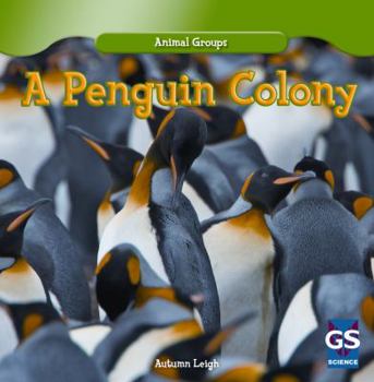 A Penguin Colony - Book  of the Animal Groups