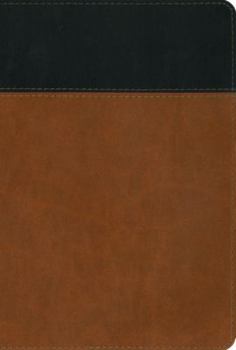 Imitation Leather NIV Stewardship Study Bible: Discover God's Design for Life, the Environment, Finances, Generosity, and Eternity Book