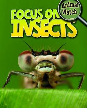 Library Binding Focus on Insects Book
