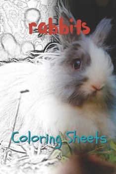 Rabbit Coloring Sheets: 30 rabbit drawings,coloring sheets adults relaxation, coloring book for kids, for girls, volume 10