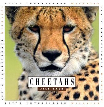 Library Binding Cheetahs Book