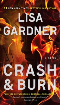 Crash & Burn - Book #15 of the Gardner Universe