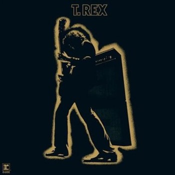 Vinyl Electric Warrior Book