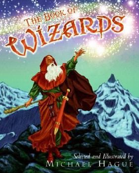 Hardcover The Book of Wizards Book