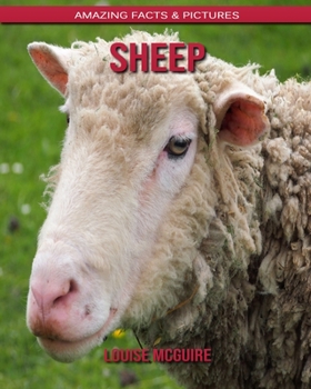 Sheep: Amazing Facts & Pictures