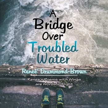 Paperback A Bridge over Troubled Water Book