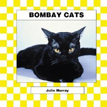 Bombay Cats (Cats Set III) - Book  of the Animal Kingdom