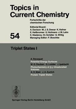 Paperback Triplet States I Book