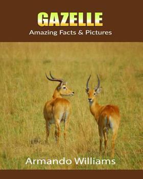Paperback Gazelle: Amazing Facts & Pictures Book