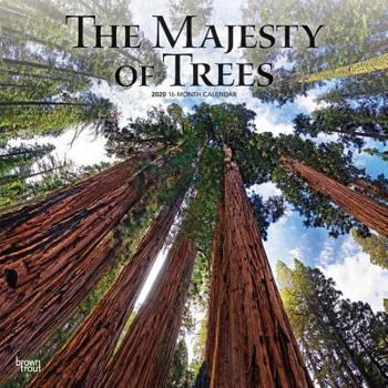 The Majesty of Trees 2020 Calendar