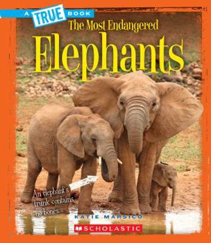 Hardcover Elephants (a True Book: The Most Endangered) (Library Edition) Book