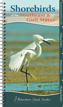 Shorebirds of the Southeast & Gulf States - Book  of the Adventure Quick Guides