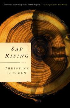 Paperback SAP Rising Book