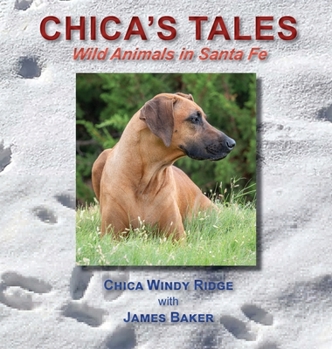 Hardcover Chica's Tales: Wild Animals in Santa Fe Book