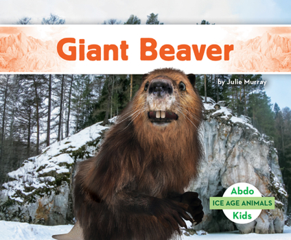 Library Binding Giant Beaver Book