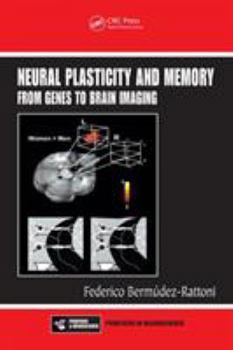Hardcover Neural Plasticity and Memory: From Genes to Brain Imaging Book