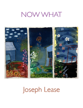 Paperback Now What Book