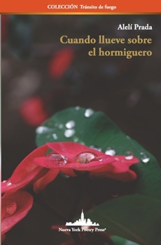 Paperback Cuando llueve sobre el hormiguero [Spanish] Book