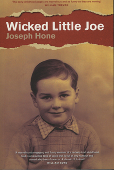 Paperback Wicked Little Joe Book