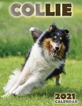 Paperback Collie 2021 Calendar Book