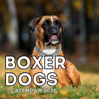 Paperback Boxer Dogs Calendar 2021: 16-Month Calendar, Cute Gift Idea For Boxer Dog Lovers Men & Women Book