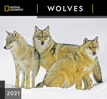 Calendar Cal 2021- National Geographic Wolves Wall Book