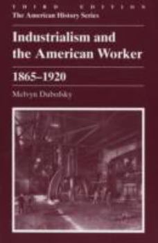 Paperback Industrialism and the American Worker, 1865-1920 Book