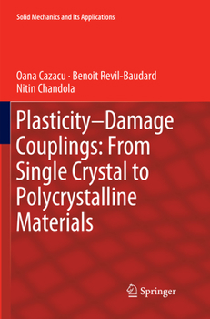 Paperback Plasticity-Damage Couplings: From Single Crystal to Polycrystalline Materials Book