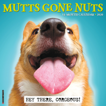 Calendar Mutts Gone Nuts 2020 Wall Calendar Book