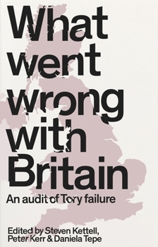 Paperback What Went Wrong with Britain?: An Audit of Tory Failure Book