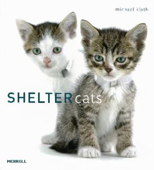 Hardcover Shelter Cats Book