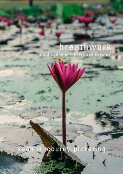 Paperback Breathwork Book