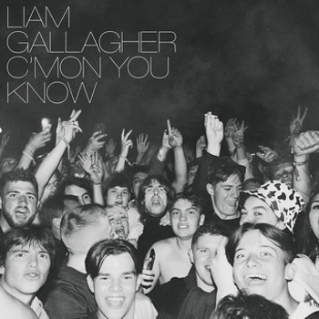 Vinyl C'mon You Know  Ie  Clear Vinyl Book