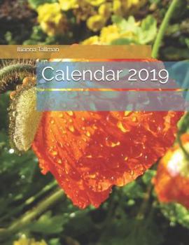 Paperback Calendar 2019 Book