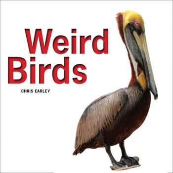Hardcover Weird Birds Book