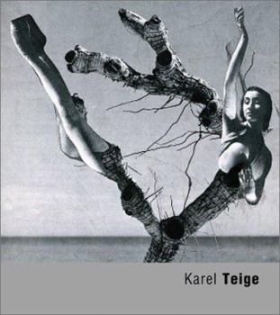 Paperback Karel Teige Book