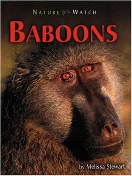 Library Binding Baboons Book