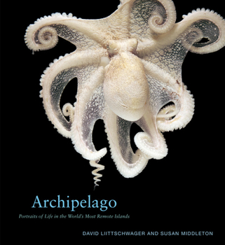 Hardcover Archipelago: Portraits of Life in the World's Most Remote Island Sanctuary Book
