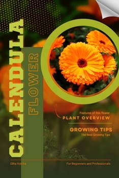 Calendula: Flower overview and Growing Tips