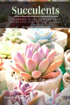 Succulents: Complete Guide tо Make your Succulent Plants feel at Home