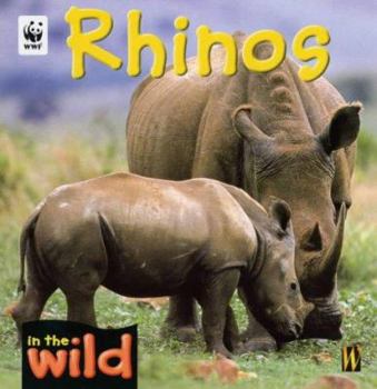 Hardcover In the Wild: Rhinos (In the Wild) Book
