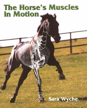 Hardcover The Horse's Muscles in Motion Book