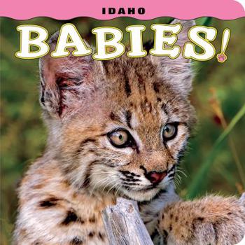 Hardcover Idaho Babies! Book