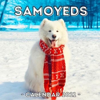 Paperback Samoyeds: 2021 Calendar, Cute Gift Idea For Samoyed Lovers Or Owners Men And Women Book