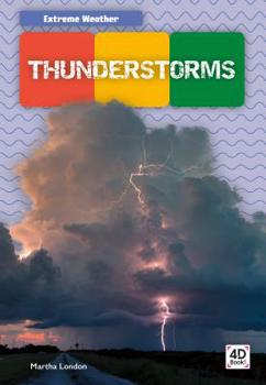 Library Binding Thunderstorms Book