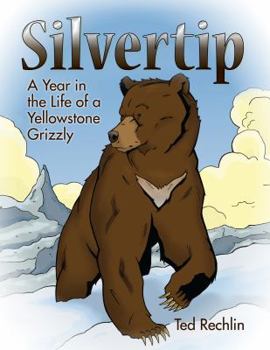 Paperback Silvertip: A Year in the Life of a Yellowstone Grizzly Book