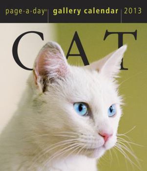Calendar Cat Gallery 2013 Calendar Book