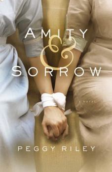 Hardcover Amity & Sorrow Book