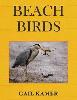Paperback Beach Birds Book