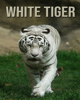 Paperback White Tiger: Fascinating White Tiger Facts for Kids with Stunning Pictures! Book